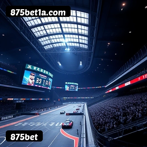 Estatísticas 875bet novembro 2024 - 87 mil jogadores ativos, R$47M pagos, RTP 96.52%